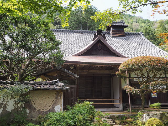 sklfhさんの巌松院の投稿写真1