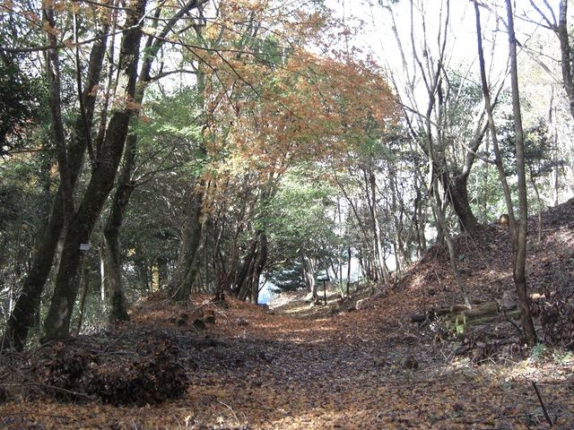 本丸近くの下り坂_角牟礼城跡