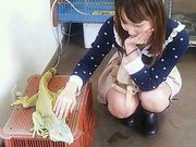 HANAさんの日本モンキーパークの投稿写真1