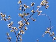 御嶽さんの家族旅行村ビラデスト今津の投稿写真1