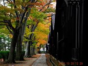 きじ猫さんの山居倉庫の投稿写真1