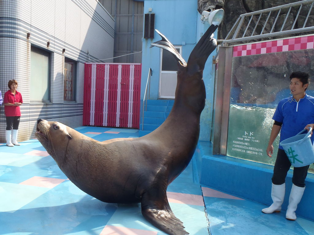 伊勢シーパラダイス