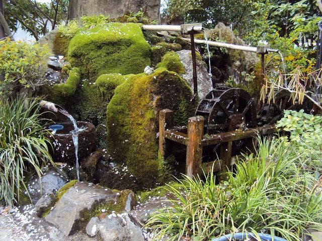 阿蘇水基巡り_阿蘇神社