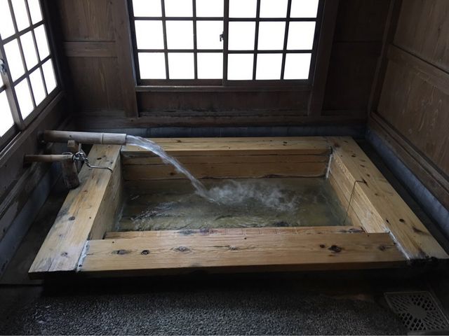 天狗松 裕花