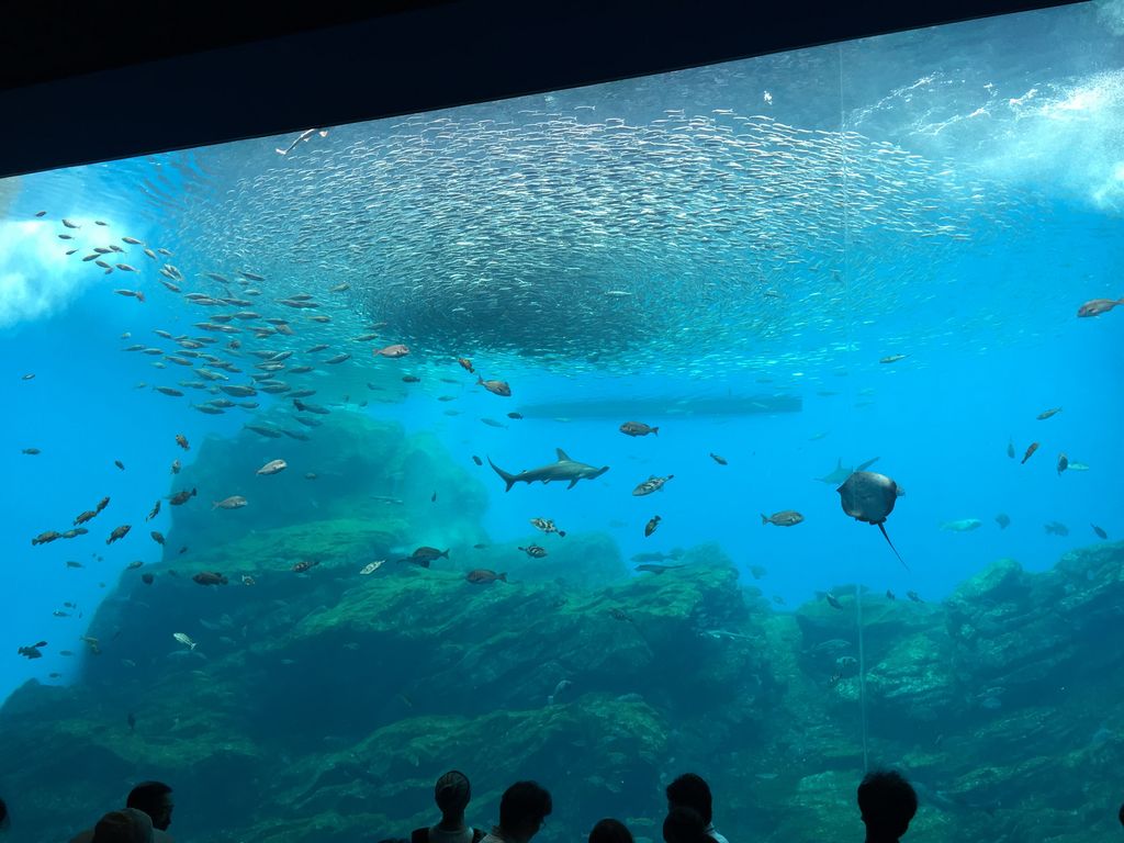 仙台うみの杜水族館