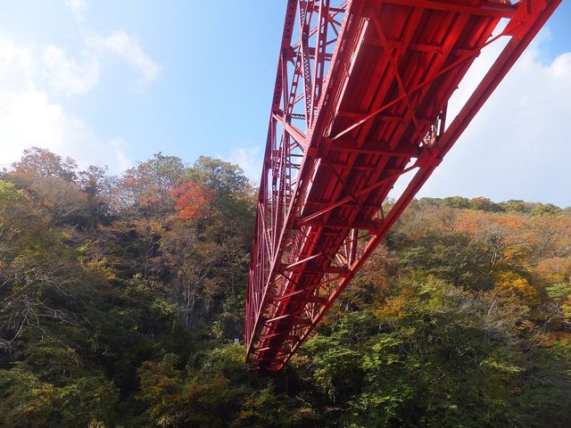 橋の下を通過_帝釈峡遊覧船