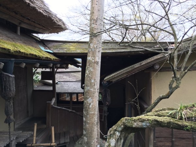 箱根強羅公園 白雲洞茶苑