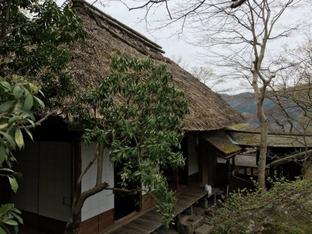 箱根強羅公園 白雲洞茶苑