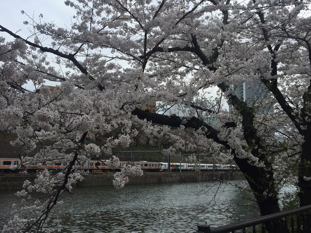 カナルカフェ CANAL CAFE