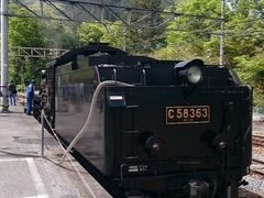 だいすっき!さんのSLパレオエクスプレスへの投稿写真3