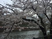 愛姫さんのカナルカフェ CANAL CAFEの投稿写真1