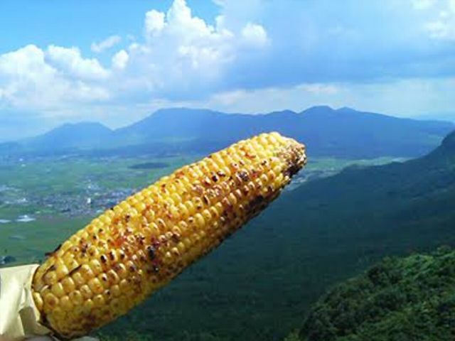 焼とうもろこし_瀬ノ本高原