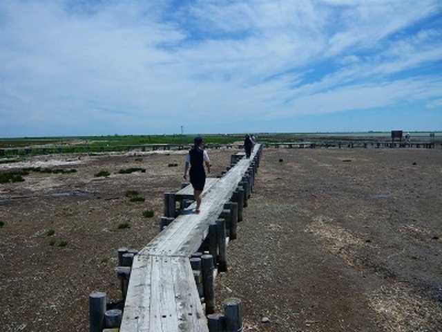 マックさんのトドワラの投稿写真3