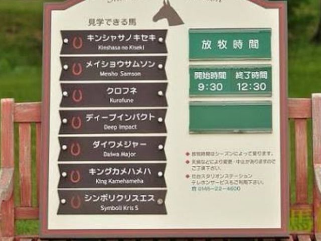 時間ギリギリでした!_社台スタリオンステーション