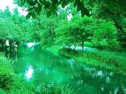 世田谷区等々力の住人さんの安曇野わさび田湧水群の投稿写真1