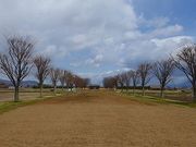 マックさんの志波城古代公園の投稿写真9