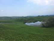みきさんの扇棚田の投稿写真1