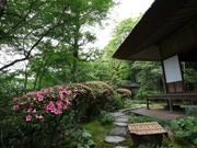 meさんの臥龍山荘庭園の投稿写真8