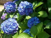 おーにんさんの大野寺弥勒磨崖仏の投稿写真1