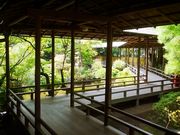 ねこぶぅさんの題経寺(柴又帝釈天)の投稿写真1