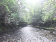 うさこpgさんの岳切渓谷の投稿写真1