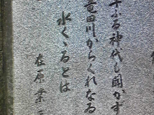 近くにこのタイプもあった_竜田川