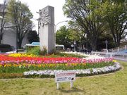 江戸家化猫さんの三ツ沢公園の投稿写真1