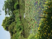 みささんの鳥見山の投稿写真1