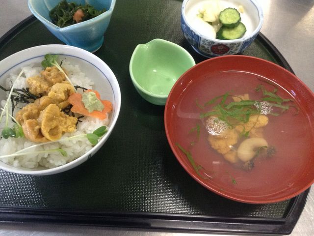 種差海岸セット_芝亭