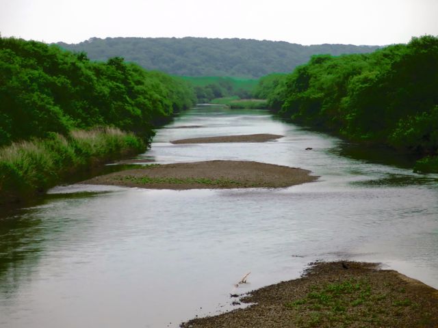 音羽橋_音羽橋