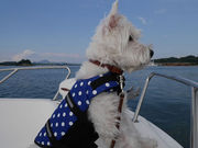 ねるさんのサービスセンター パールの投稿写真1