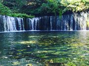 katyさんの白糸の滝の投稿写真1