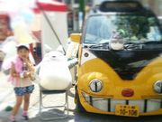 三菜さんの島瀬公園の投稿写真1