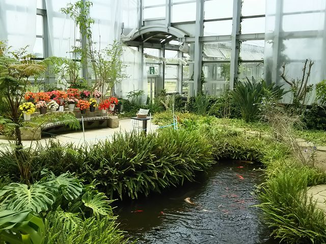 池もあります。
他の場所に花が沢山あります。_七尾フラワーパークのと蘭ノ国