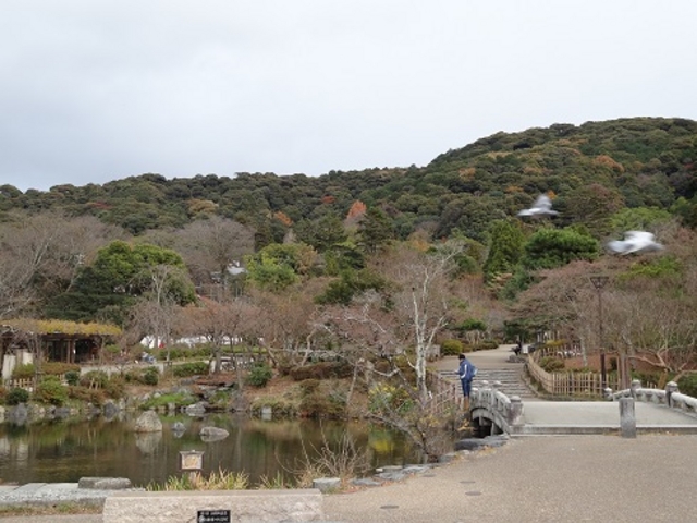 瓢箪池_円山公園