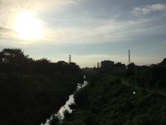 手賀沼の写真2