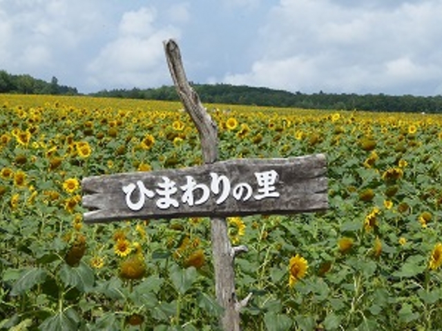 北海道・雨竜郡・北竜町・字板谷・道の駅 サンフラワー北竜・ひまわりの里_道の駅 サンフラワー北竜