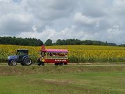マックさんの道の駅 サンフラワー北竜の投稿写真3