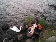 さやだらさんの洞爺湖の投稿写真2