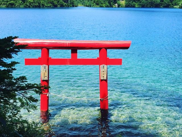オクちゃんさんの大沼池の投稿写真1