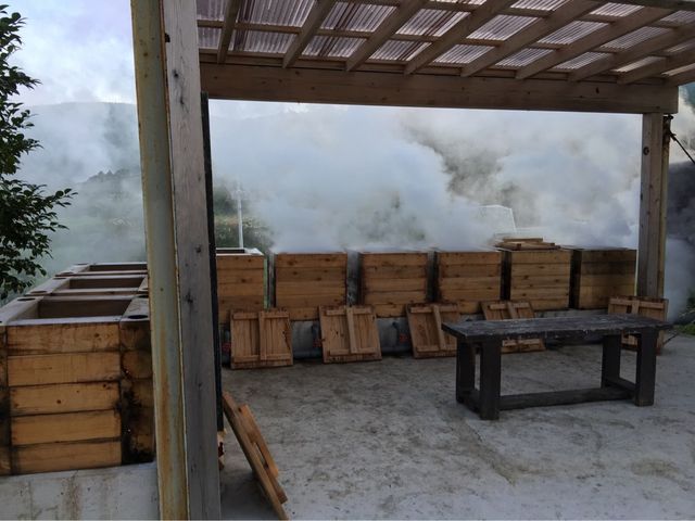 わいた温泉郷 はげの湯・たけの湯・山川温泉