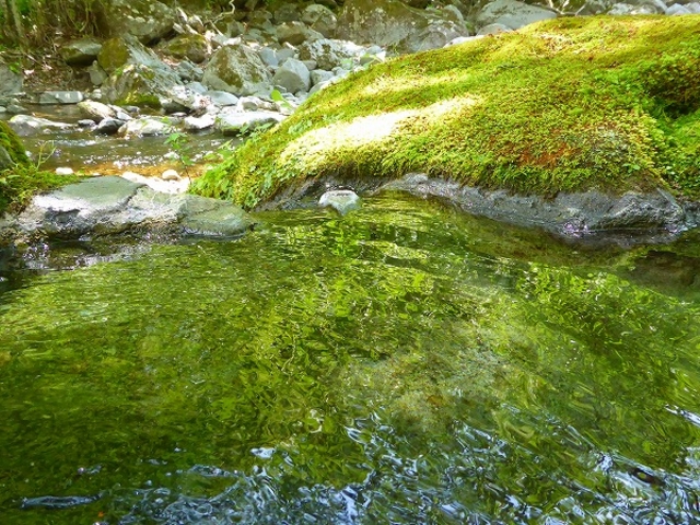 福島県・岩瀬郡・天栄村・大字湯本・字二俣・二岐温泉(湯小屋旅館)野天風呂_二岐温泉