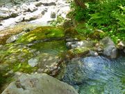 マックさんの二岐温泉の投稿写真10