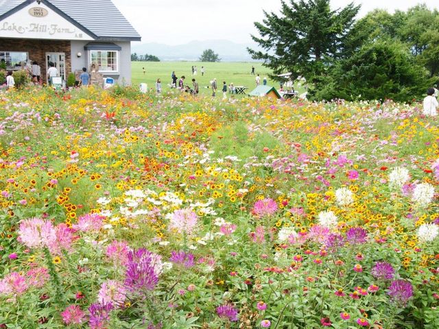 花に囲まれ、小動物とも触れ合える
レークヒルファーム_レークヒルファーム