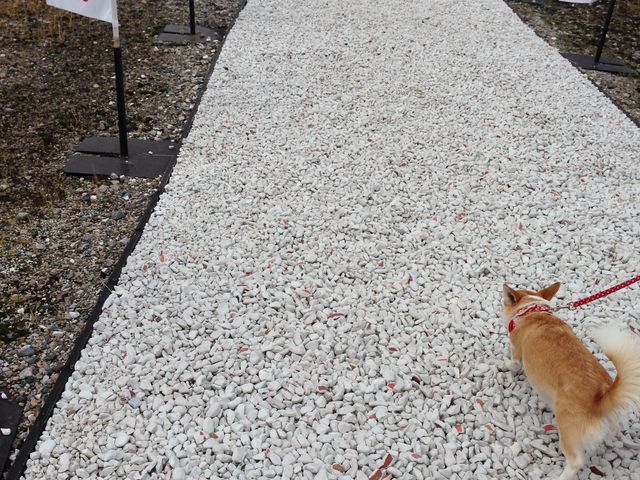 バージンロードをイメージされてるとか?_庄川水記念公園