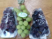 なおさんのぶどう狩りの投稿写真1