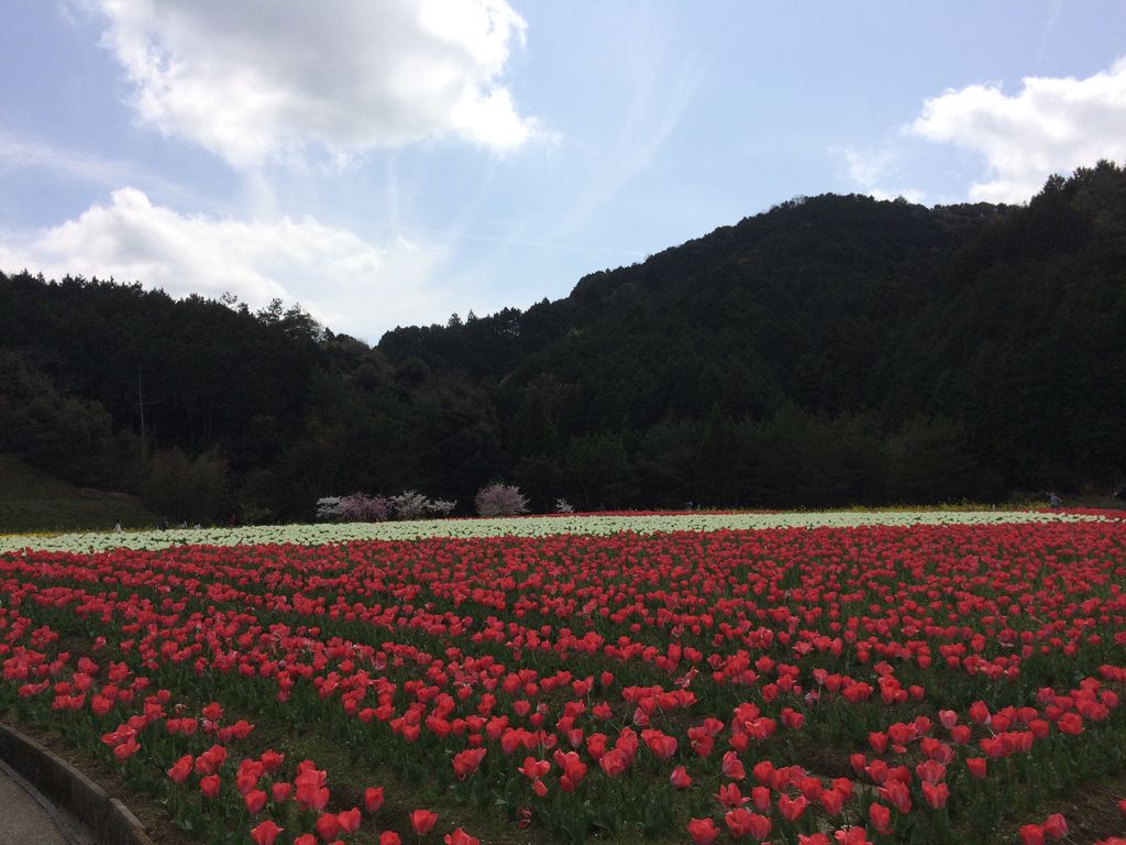 フラワーパークおおず