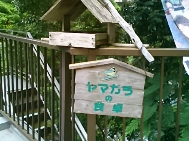 ヤマガラの食卓_リブマックスリゾート天城湯ヶ島