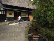 りさぼんさんの山みず木の投稿写真1