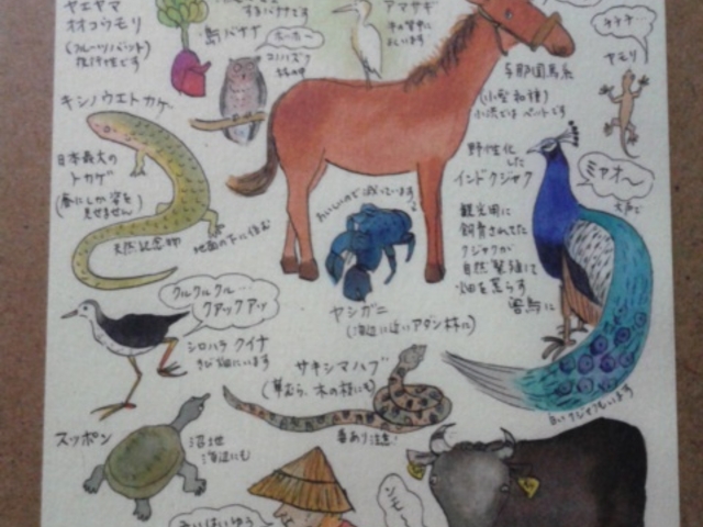 ヤシの木
